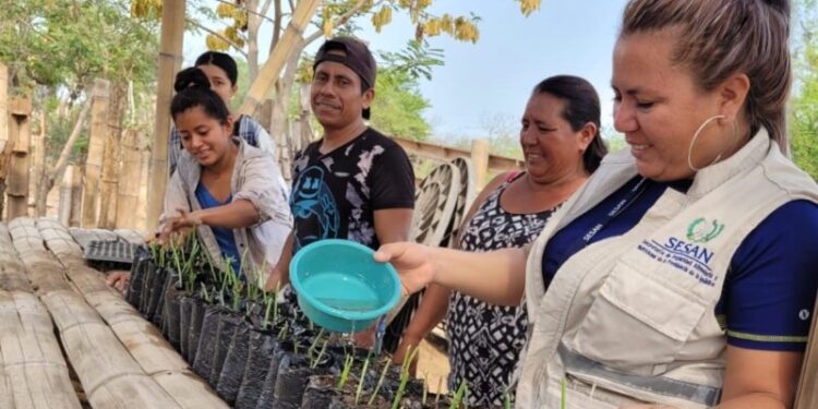 Implementan vivero de Ixbut en El Jícaro para fomentar la lactancia materna