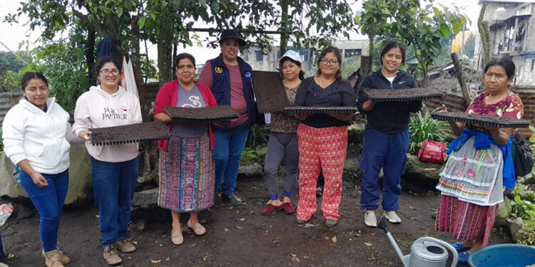 Agricultoras aprenden a elaborar pilones de hortalizas