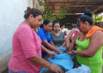 Aprenden a elaborar concentrado artesanal