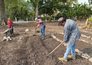 Aprenden a preparar suelos para instalar Huertos Escolares