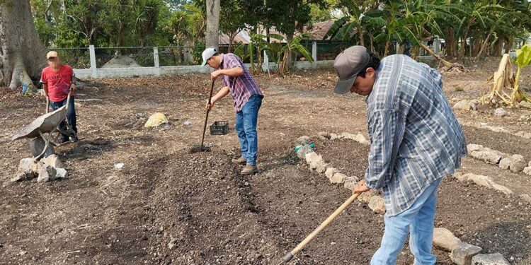 Aprenden a preparar suelos para instalar Huertos Escolares