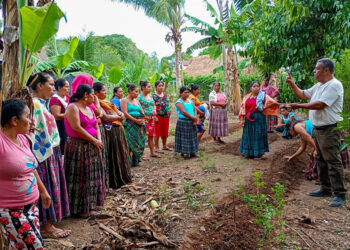 Aprenden procesos de los Huertos Familiares