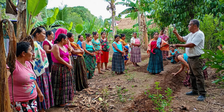 Aprenden procesos de los Huertos Familiares
