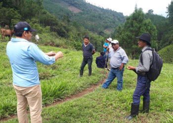 Brindan capacitación e insumos a ganaderos de Alta Verapaz