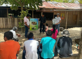 Brindan charlas de Educación Agroforestal en Petén