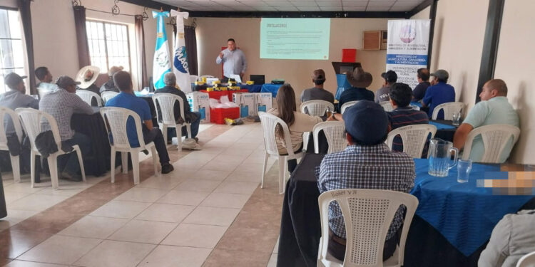 Brindan taller de buenas prácticas agrícolas y de manufactura Jalapa