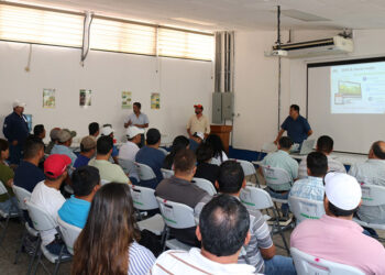 Capacitaciones en manejo de fitoprotección y nutrición de cultivos