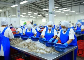 Delegación brasileña concluye evaluación de sistemas de inspección de camarón