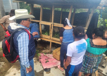 El emprendimiento es una fuente de ingreso local