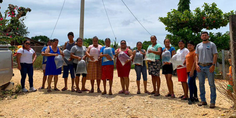 Entregan alevines de tilapia a familias de Dolores, Petén