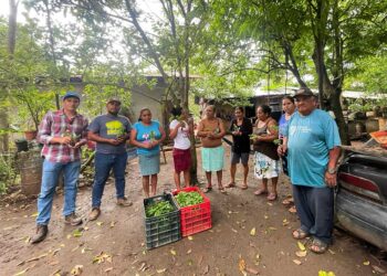 Entregan insumos y parcela demostrativa en Petén