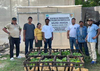 Entregan pilones de chile habanero en El Roldón