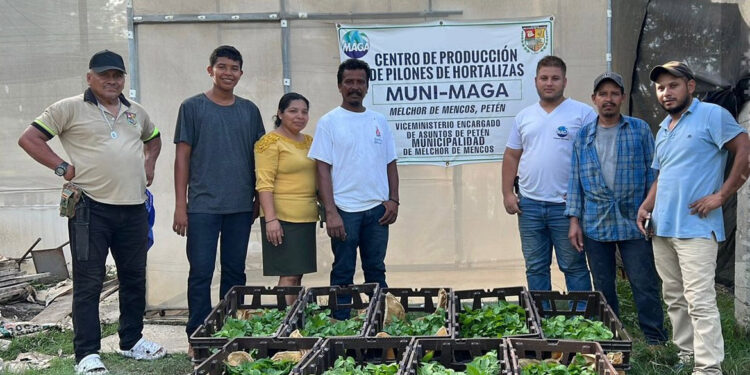 Entregan pilones de chile habanero en El Roldón