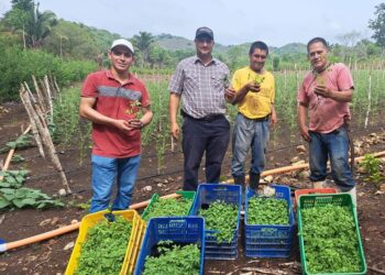 Entregan pilones de diferentes variedades de chiles