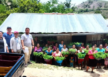 Entregan pilones de hortalizas en Melchor de Mencos