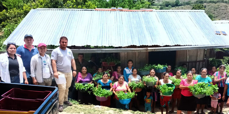 Entregan pilones de hortalizas en Melchor de Mencos