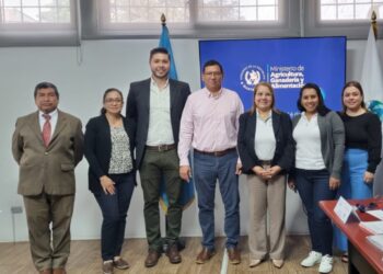 Exploran nuevas oportunidades comerciales con Nicaragua