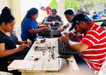 Fomentan siembra de vegetales en Petén