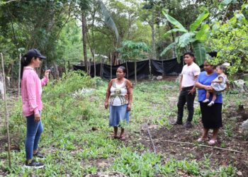 Huertos Familiares la ruta para alcanzar la autosuficiencia alimentaria