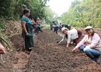 Implementación de huerto comunal promueve el desarrollo en caserío de Huehuetenango
