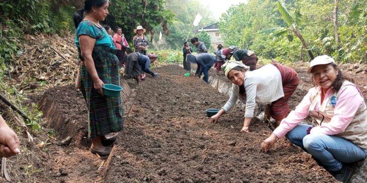 Implementación de huerto comunal promueve el desarrollo en caserío de Huehuetenango