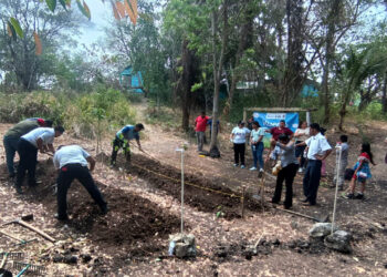Implementan huertos urbanos y periurbanos