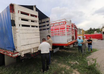 Inicia jornada de emisión de licencias de transporte en Petén