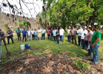Mejoran salud de suelos mediante organismos de montaña