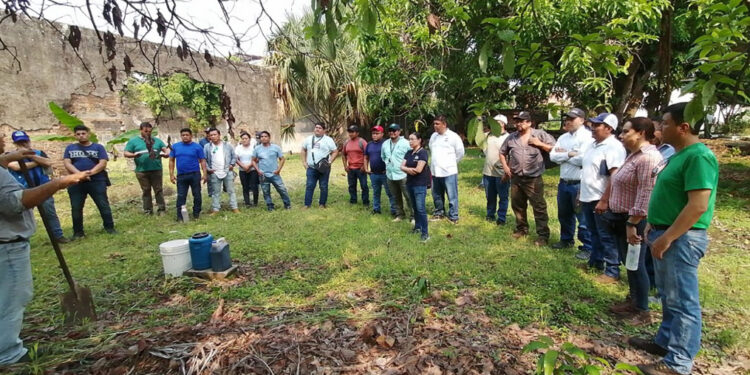 Mejoran salud de suelos mediante organismos de montaña