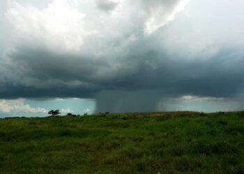 Primera semana de junio será lluviosa