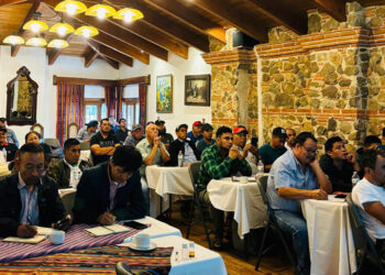 Productores de aguacate buscan ingresar a nuevos mercados