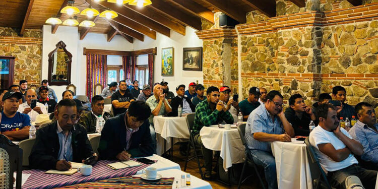 Productores de aguacate buscan ingresar a nuevos mercados