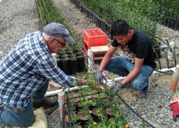 Productores de cítricos de Baja Verapaz contarán con sistema de riego