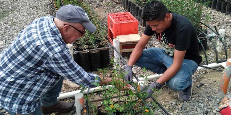 Productores de cítricos de Baja Verapaz contarán con sistema de riego