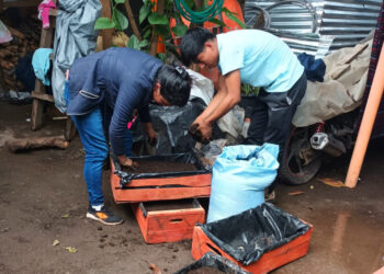 Se implementan huertos familiares en San Lucas Tolimán