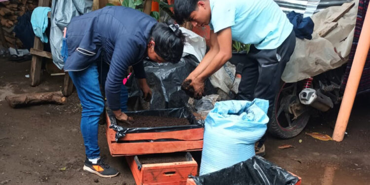 Se implementan huertos familiares en San Lucas Tolimán