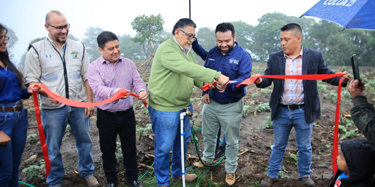 Sistema de riego beneficia a comunidades de Panajachel