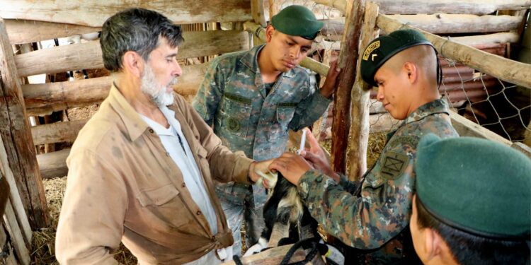 Soldados son capacitados para impulsar emprendimientos al finalizar su servicio