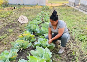 Supervisan procesos de huertos familiares en Petén