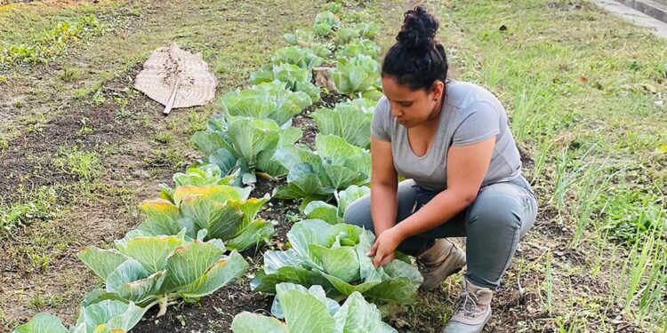 Supervisan procesos de huertos familiares en Petén