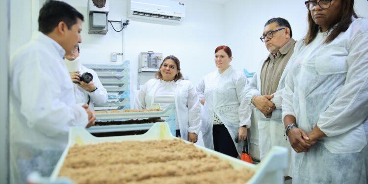 Trabajo conjunto para erradicar la mosca del Mediterráneo