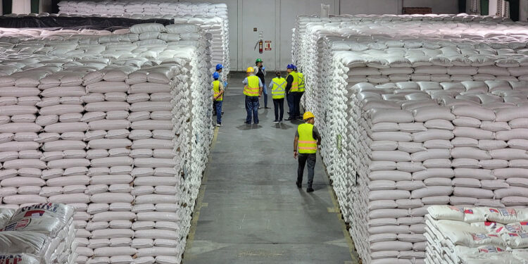 Velan por cumplimiento de estándares de calidad en la bodega de alimentos de Fraijanes