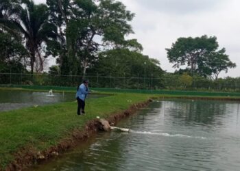 Brindan asistencia para producción de tilapia en San Luis, Petén