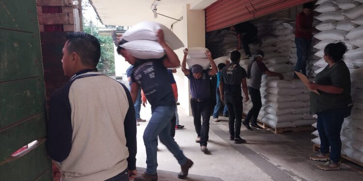 Se inicia entrega de Alimentos de la Reserva Estratégica de Granos Básicos  para familias de Alta Verapaz