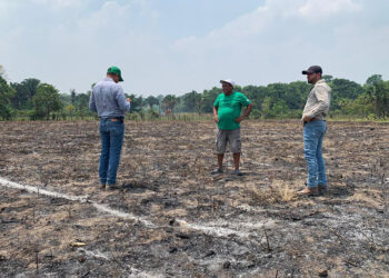 En Petén impulsan parcelas demostrativas de chile jalapeño y sandía