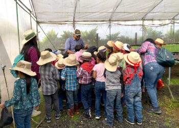 Aprender sembrando, niños y niñas visitan Granja Integral