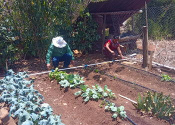 Beneficiadas 18 mil familias con raciones de alimentos por acciones