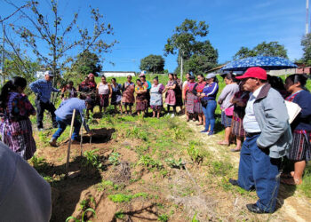 Buscan reducir impacto del cambio climático en la cuenca del Motagua