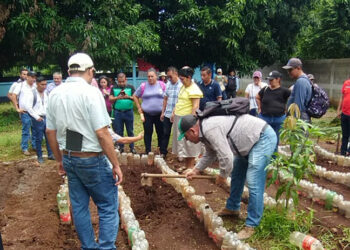 Capacitan a directores de centros educativos para implementar huertos escolares