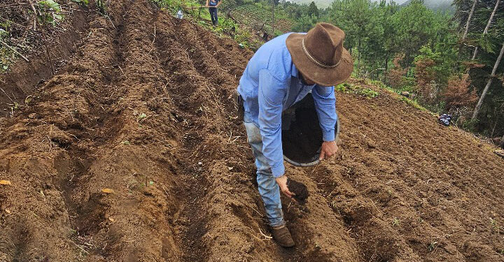 Capacitan acerca del manejo agronómico del cultivo de papa